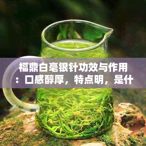 福鼎白毫银针功效与作用：口感醇厚，特点明，是什么茶？主要特征有哪些？