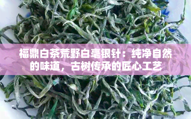 福鼎白茶荒野白毫银针：纯净自然的味道，古树传承的匠心工艺