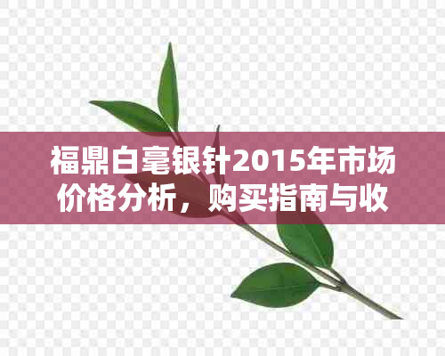 福鼎白毫银针2015年市场价格分析，购买指南与收藏价值