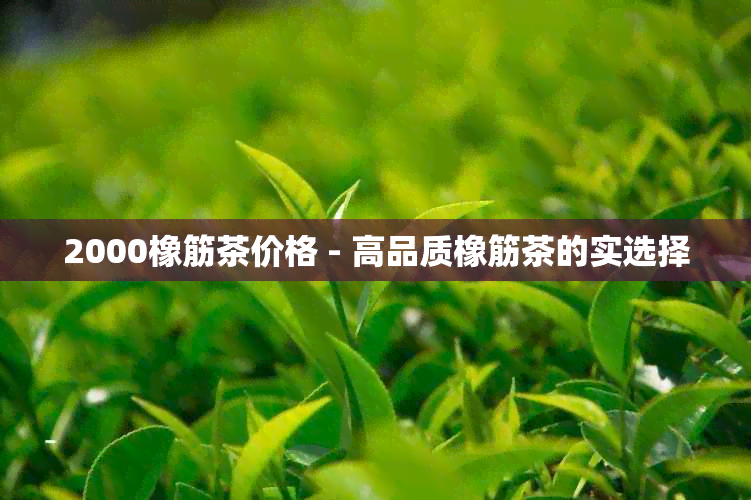 2000橡筋茶价格 - 高品质橡筋茶的实选择