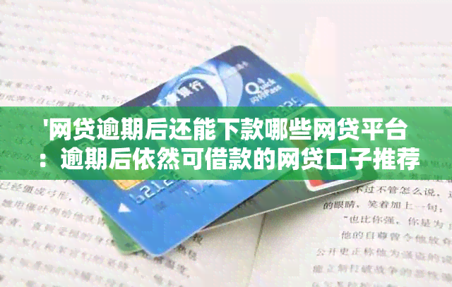 '网贷逾期后还能下款哪些网贷平台：逾期后依然可借款的网贷口子推荐'