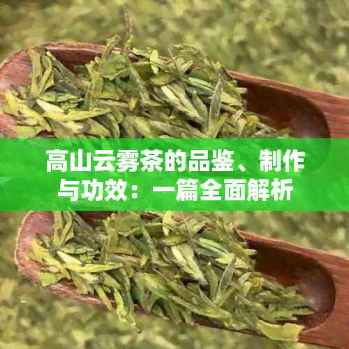 高山云雾茶的品鉴、制作与功效：一篇全面解析