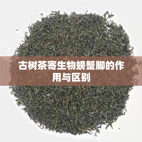 古树茶寄生物螃蟹脚的作用与区别