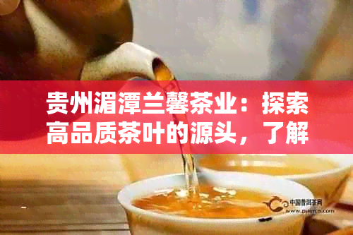 贵州湄潭兰馨茶业：探索高品质茶叶的源头，了解茶叶制作工艺与口感