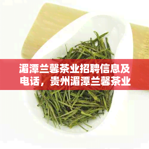 湄潭兰馨茶业招聘信息及电话，贵州湄潭兰馨茶业概况和园电话