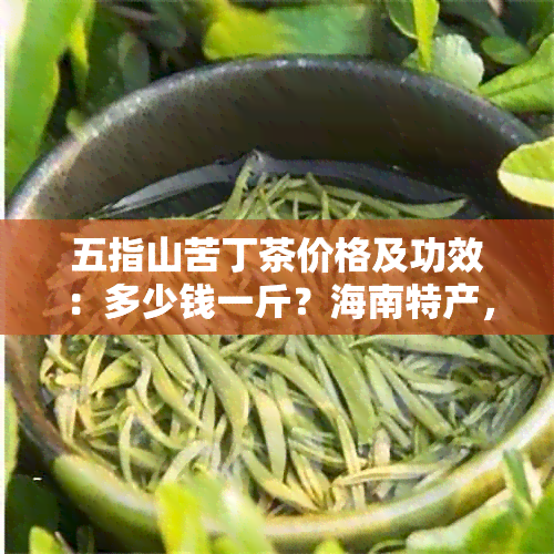 五指山苦丁茶价格及功效：多少钱一斤？海南特产，白骨苦丁茶的作用与禁忌