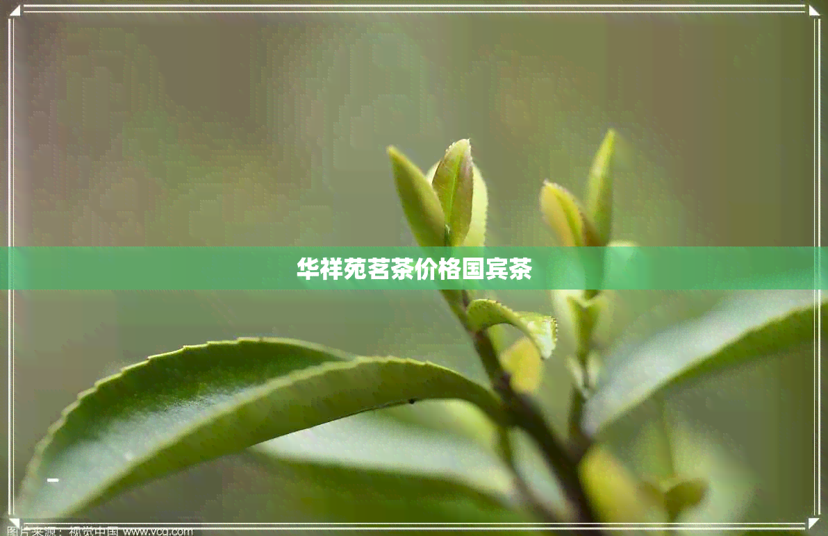 华祥苑茗茶价格国宾茶