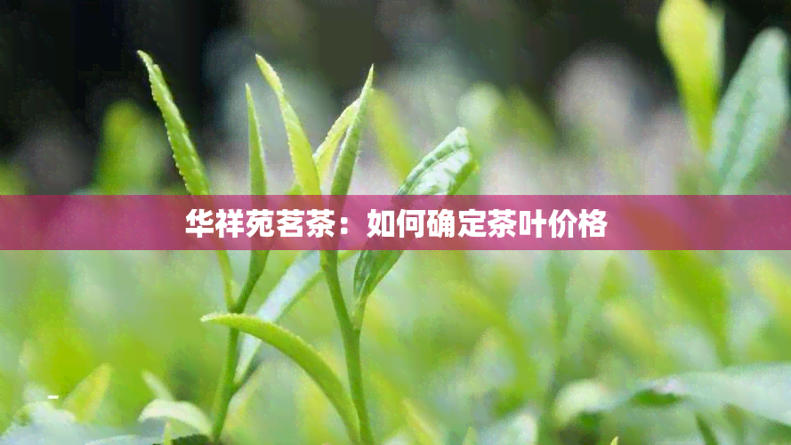 华祥苑茗茶：如何确定茶叶价格