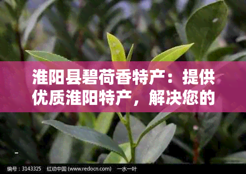 淮阳县碧荷香特产：提供优质淮阳特产，解决您的味蕾需求