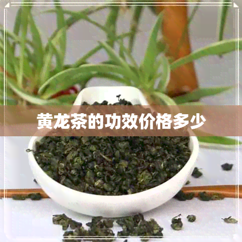 黄龙茶的功效价格多少