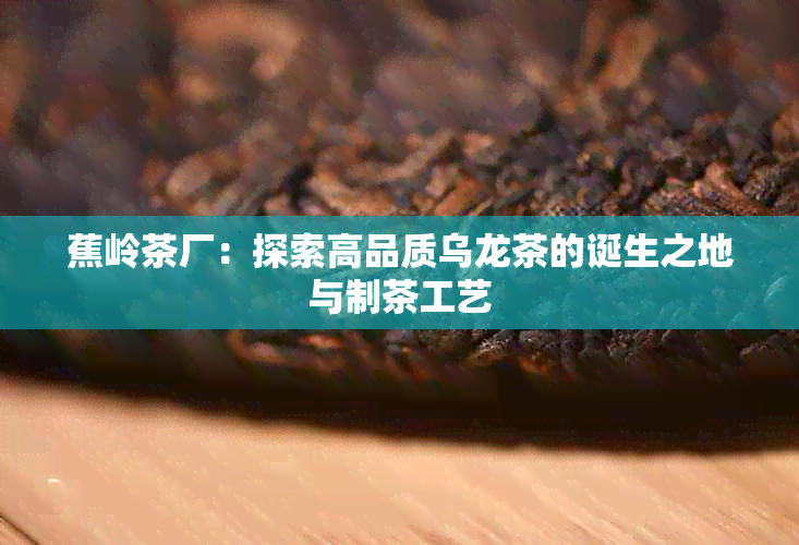 蕉岭茶厂：探索高品质乌龙茶的诞生之地与制茶工艺