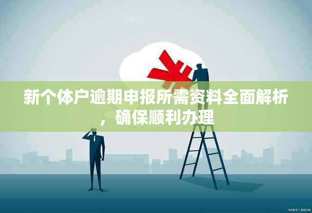 新个体户逾期申报所需资料全面解析，确保顺利办理