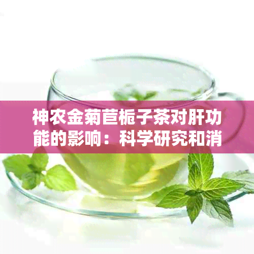 神农金菊苣栀子茶对肝功能的影响：科学研究和消费者体验的全面分析