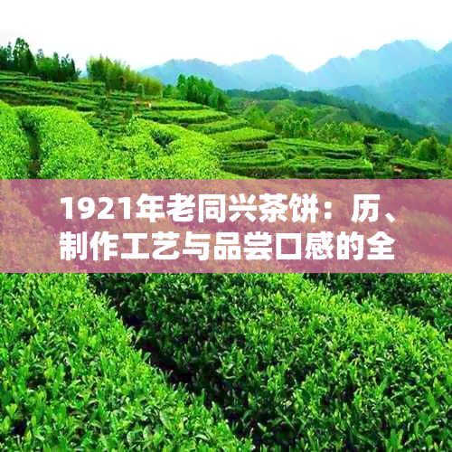 1921年老同兴茶饼：历、制作工艺与品尝口感的全方位解析