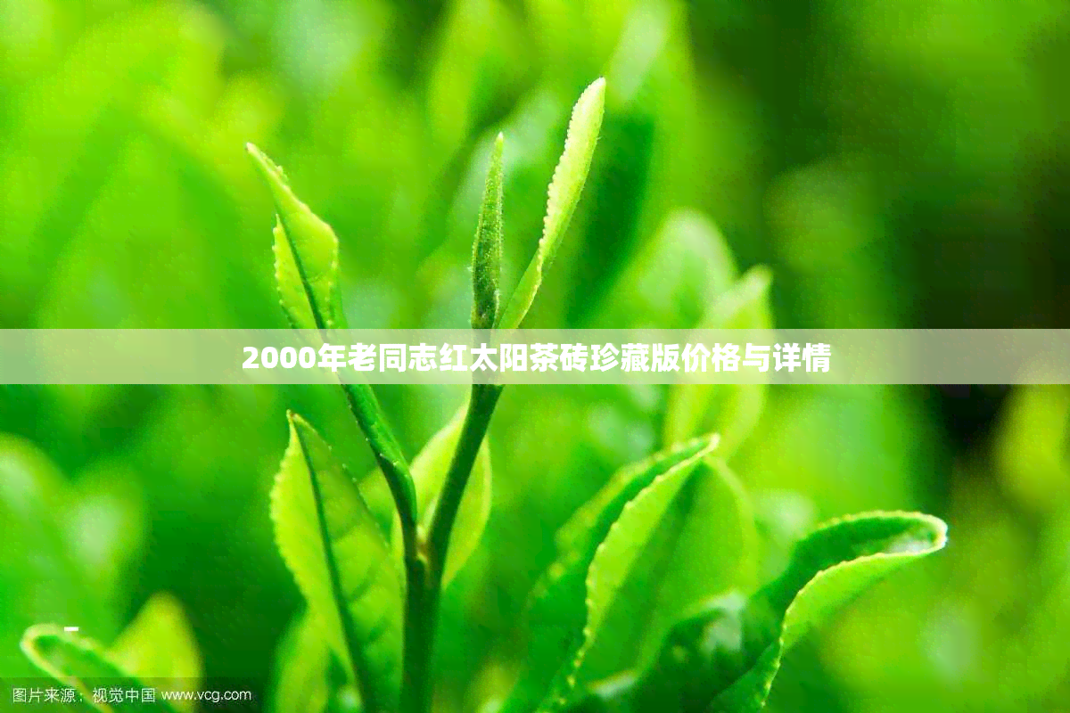 2000年老同志红太阳茶砖珍藏版价格与详情