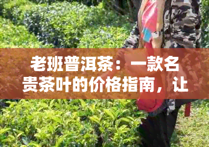 老班普洱茶：一款名贵茶叶的价格指南，让你深入了解其价值与品质