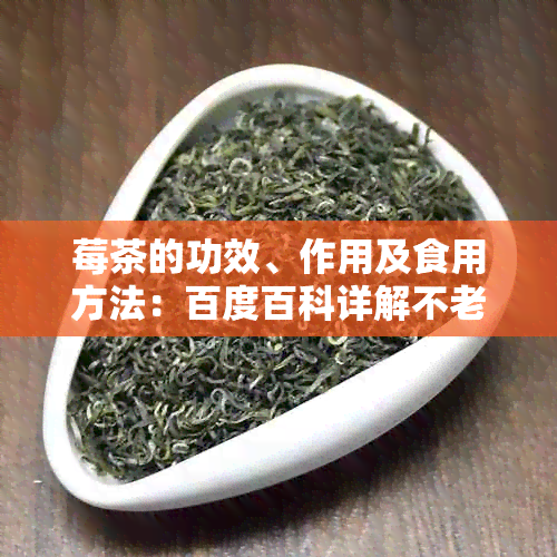 莓茶的功效、作用及食用方法：百度百科详解不老莓茶的效益与禁忌