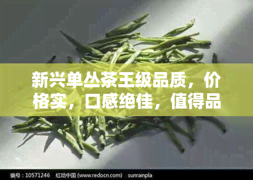 新兴单丛茶王级品质，价格实，口感绝佳，值得品鉴！