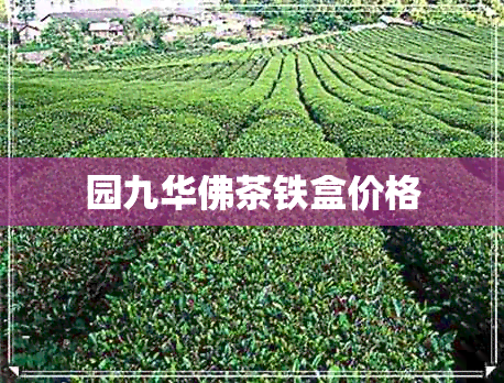 园九华佛茶铁盒价格