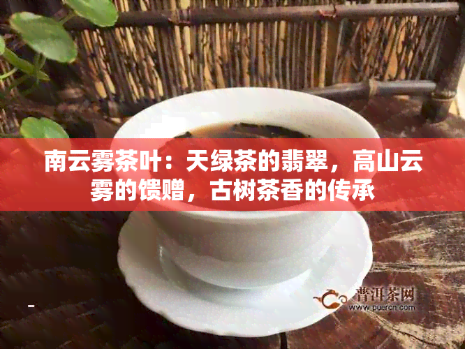 南云雾茶叶：天绿茶的翡翠，高山云雾的馈赠，古树茶香的传承