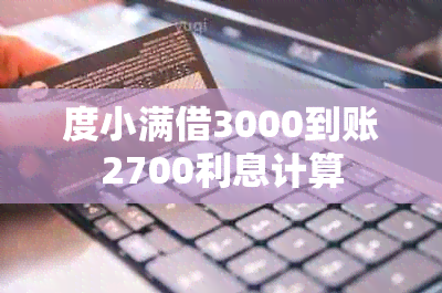 度小满借3000到账2700利息计算