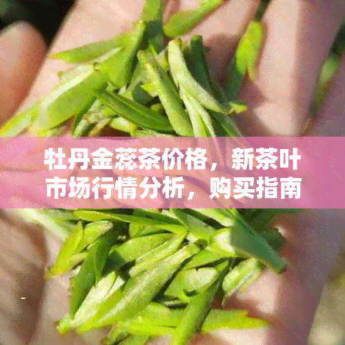 牡丹金蕊茶价格，新茶叶市场行情分析，购买指南与口感评价