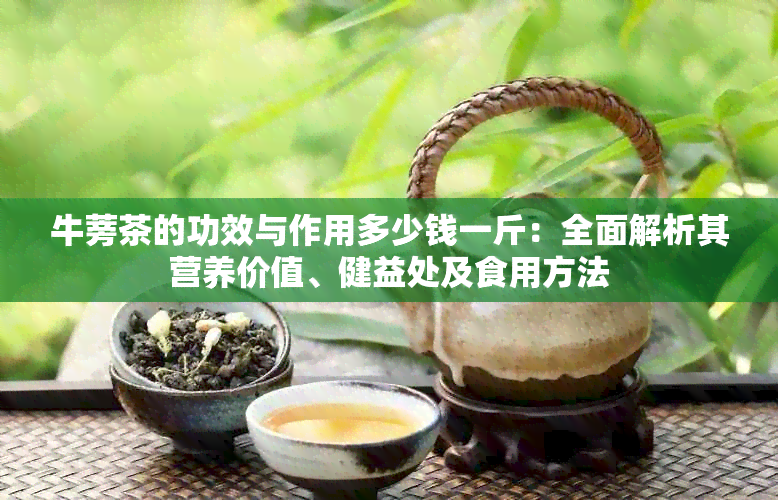 牛蒡茶的功效与作用多少钱一斤：全面解析其营养价值、健益处及食用方法