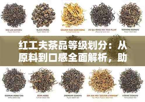 红工夫茶品等级划分：从原料到口感全面解析，助您选购合适的茶品