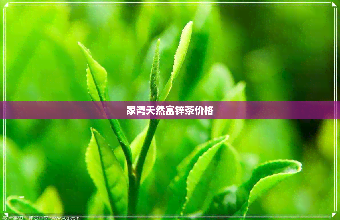 家湾天然富锌茶价格