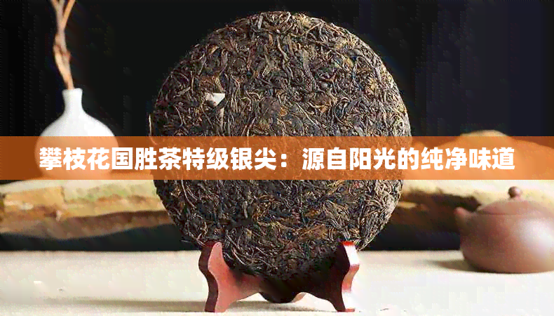 攀枝花国胜茶特级银尖：源自阳光的纯净味道