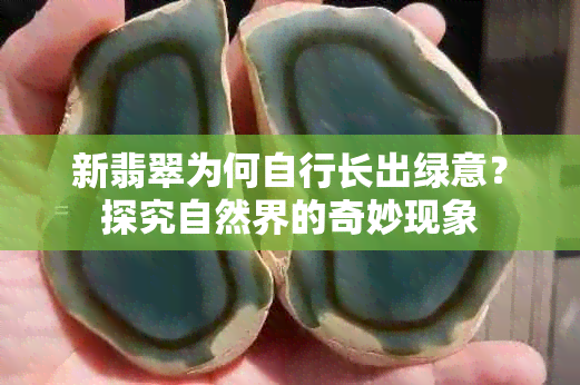 新翡翠为何自行长出绿意？探究自然界的奇妙现象