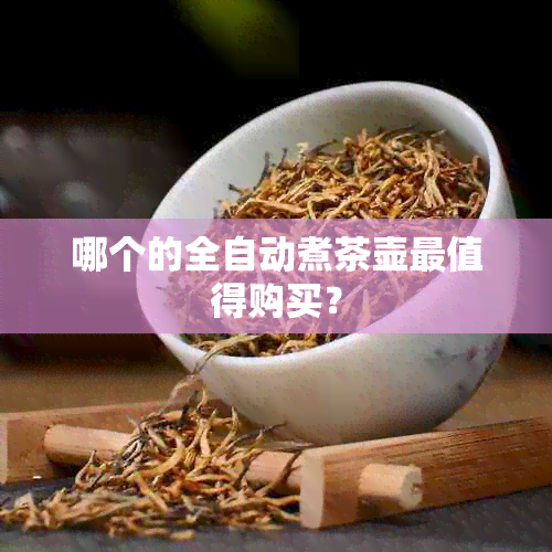 哪个的全自动煮茶壶最值得购买？