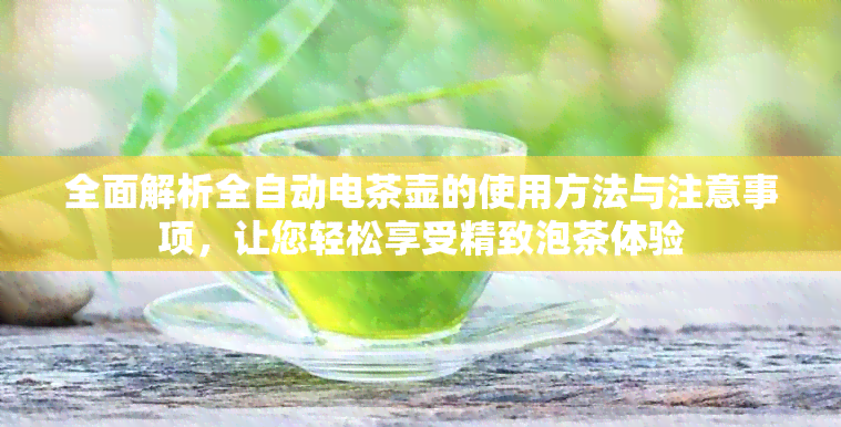 全面解析全自动电茶壶的使用方法与注意事项，让您轻松享受精致泡茶体验