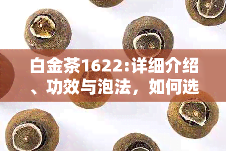 白金茶1622:详细介绍、功效与泡法，如何选择购买及品尝技巧一文攻略