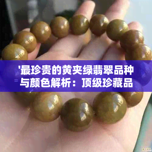 '最珍贵的黄夹绿翡翠品种与颜色解析：顶级珍藏品质揭秘'