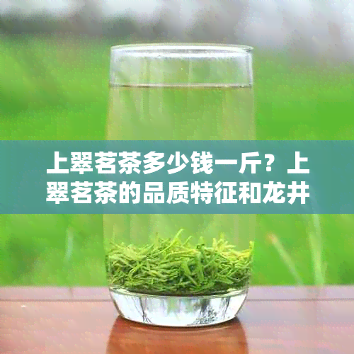 上翠茗茶多少钱一斤？上翠茗茶的品质特征和龙井谁好？