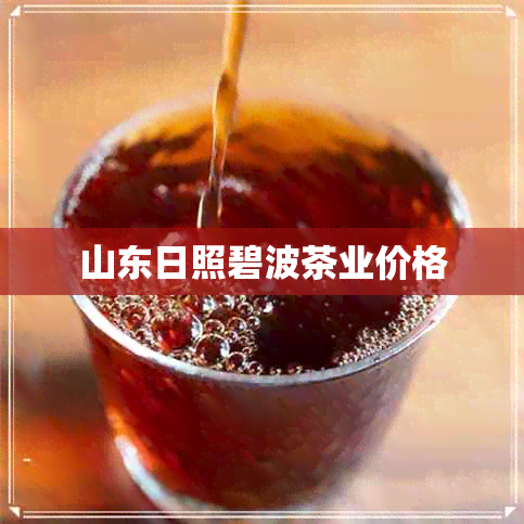 山东日照碧波茶业价格