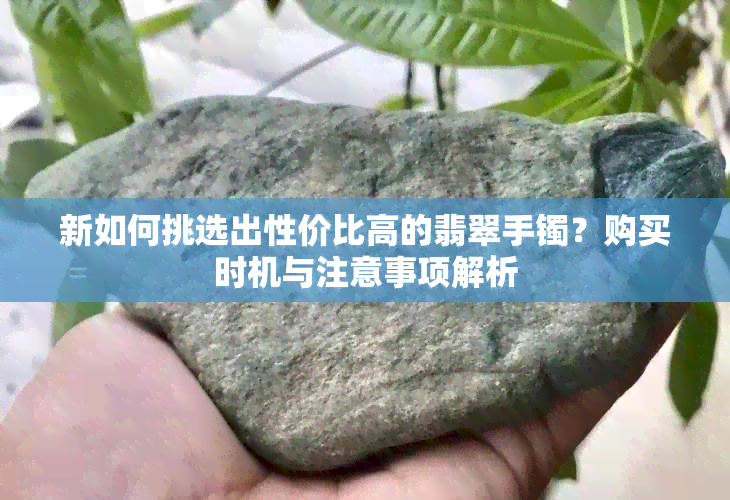 新如何挑选出性价比高的翡翠手镯？购买时机与注意事项解析