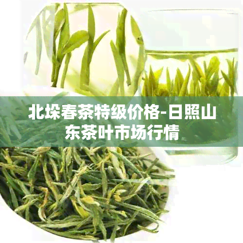 北垛春茶特级价格-日照山东茶叶市场行情