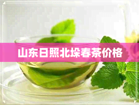 山东日照北垛春茶价格