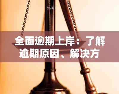 全面逾期上岸：了解逾期原因、解决方法及影响，助您成功上岸