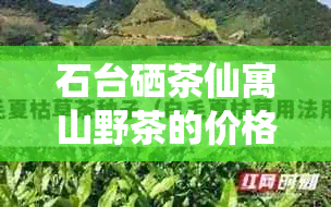 石台硒茶仙寓山野茶的价格明细与品质解析