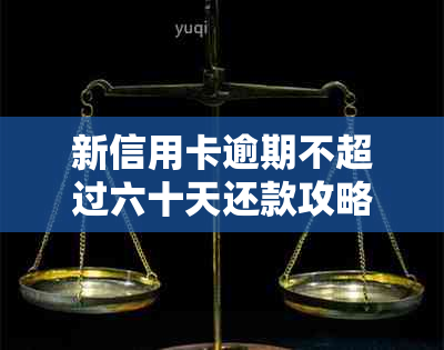 新信用卡逾期不超过六十天还款攻略，如何避免罚息和影响信用？