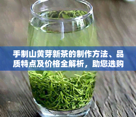 手制山黄芽新茶的制作方法、品质特点及价格全解析，助您选购优质茶叶