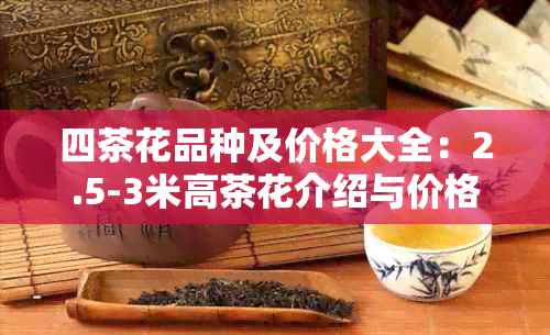 四茶花品种及价格大全：2.5-3米高茶花介绍与价格表