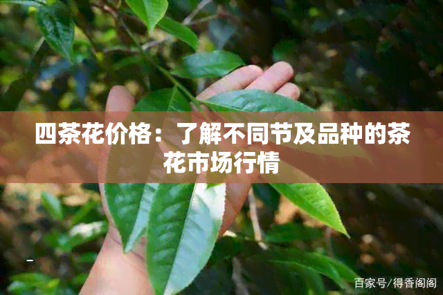 四茶花价格：了解不同节及品种的茶花市场行情