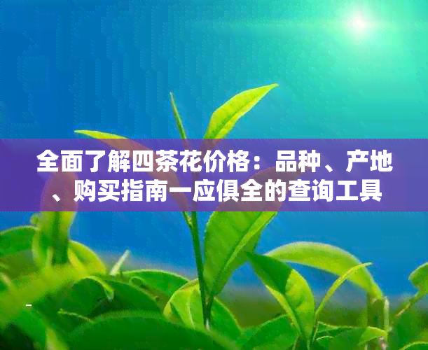 全面了解四茶花价格：品种、产地、购买指南一应俱全的查询工具