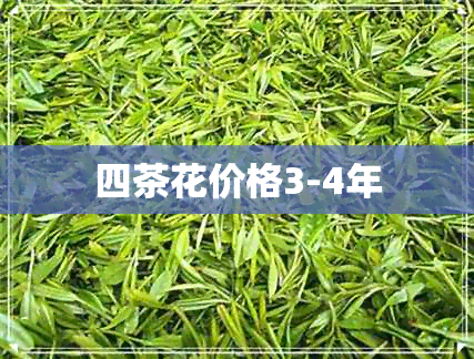 四茶花价格3-4年