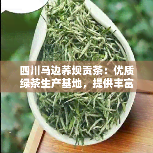 四川马边荞坝贡茶：优质绿茶生产基地，提供丰富的茶叶品种与服务