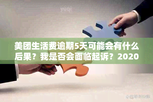 美团生活费逾期5天可能会有什么后果？我是否会面临起诉？2020最新解答